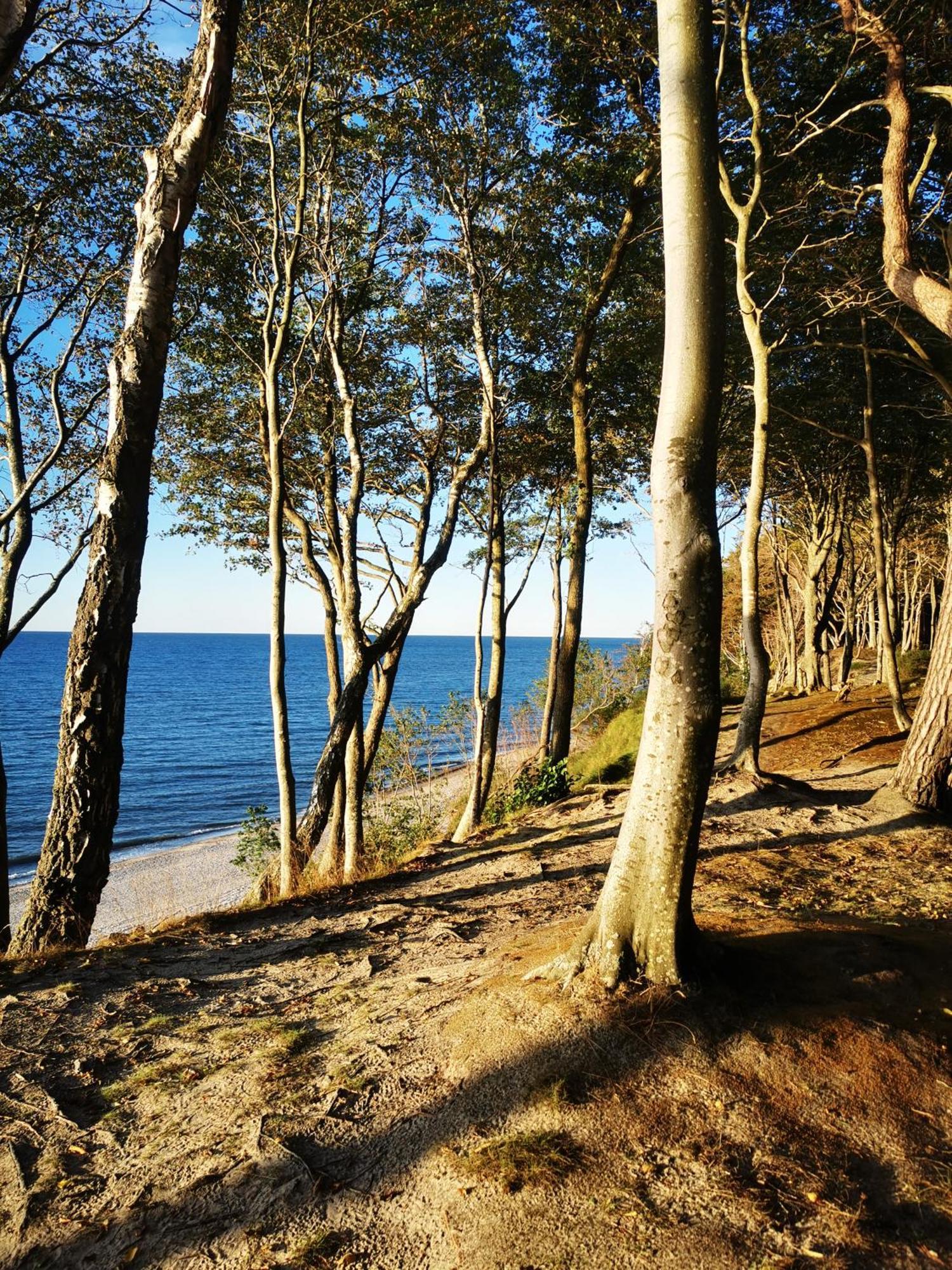 Apartament 10B Niebieskie Apartamenty Poddabie Dawniej Blue Marine Z Basenem Krytym, Odkrytym, Sala Zabaw, Animacjami Esterno foto